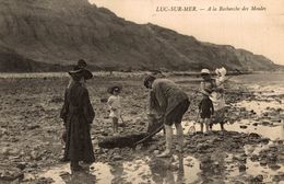 14-LUC-SUR-MER- A LA RECHERCHE DES MOULES - Luc Sur Mer