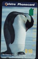 AUSTRALIA 1993 PHONECARD PINGUINS USED VF!! - Pingueinos