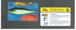 TAILANDIA (THAILAND) -  FISHES  - USED  -  RIF. 10387 - Peces