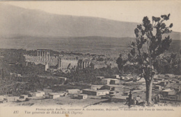 Liban - Baalbek - Vue Générale - Archéologie - Lebanon