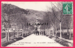 15 - VIC SUR CERE---Avenue Du Pont--animé - Autres & Non Classés