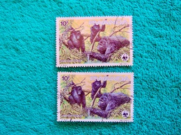 Lot De 2 Timbres Gorilles - RWANDA - Gebruikt