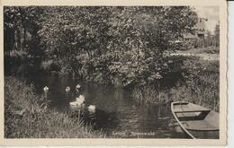 ALLEMAGNE BRANDEBOURG LEIPE SPREEWALD - Luebbenau