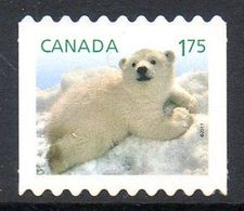 CANADA 2573 Faune Pôle Nord, Ours Polaire - Arctische Fauna