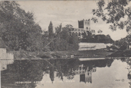 Royaume-Uni - Scotland - Jedburgh Abbey From The River - Roxburghshire