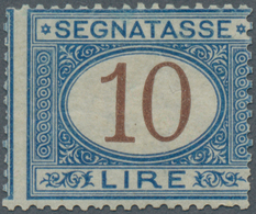 Italien - Portomarken: 1874, 10 L Brown/blue Postage Due Stamp Mint Never Hinged, The Stamp Is Norma - Postage Due