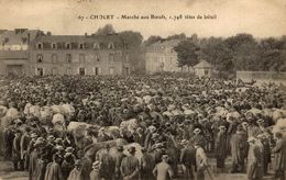 Delcampe - 49-CHOLET- MARCHE AUX BOEUF - 1748 TETES DE BETAIL - Cholet