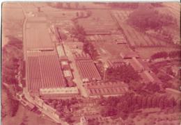 D80 - SAINT OUEN - SAINT FRERES S.A. - USIN DE HARONDEL - CPSM Teinte Rose Grand Format - Saint Ouen