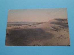 SAND HILLS On The Desert, Near Palm Springs Calif. ( Albertype ) Anno 19?? ( See Scans ) ! - Palm Springs