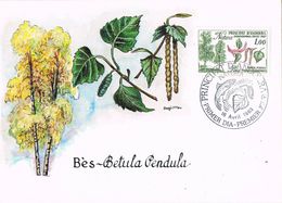 37235.  Tarjeta Maxima ANDORRA (Andorra Francesa) 1983. Natura, Bés (betula Pendula) Garriaceas - Maximum Cards