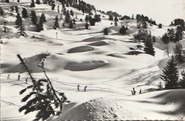 CHAMROUSSE. - Les Pistes Des Gaboureaux. CPM Dentelée - Chamrousse