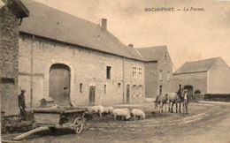 Rochefort   La Ferme Cochons Chevaux Circulé En 1929 - Rochefort