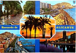 #874  Views Of Alicante - Valencia , SPAIN - Postcard - Alicante