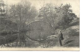 Carte Postale - CPA VAR - CARCES - Le Pont Du Caramy. - Carces