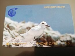 ASCENSION ISLAND   10 Pound Bird Stern  1CASC   MINT Old  Logo C&W **2949** - Ascension (Insel)