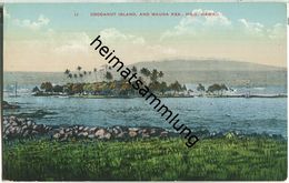 Hawaii - Hilo - Mauna Kea - Cocoanut Island - Hilo