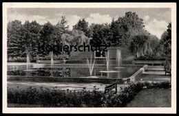 ÄLTERE POSTKARTE FINSTERWALDE VVN DENKMAL Monument Ansichtskarte Postcard AK Cpa - Finsterwalde