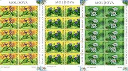 Moldova 2008. Flowers(Butterflies). 3 M/S Of 10 . Michel # 616-18 KB - Moldavië