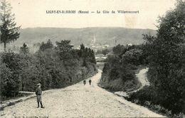 Ligny En Barrois * La Côte De Willeroncourt - Ligny En Barrois