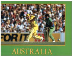 (H 15) Australia  - Cricket Player During World Series - Cricket