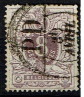 29  Obl Imprimés PD  Var. Cadre Brisé Entre Feuilles  + 58 - 1869-1888 Leone Coricato