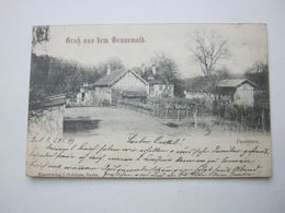 BERLIN GRUNEWALD , Paulsborn ,  Schöne Karte 1899 - Grunewald
