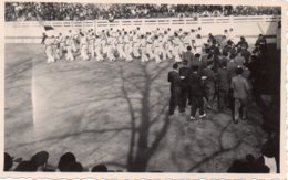 Photo Défilé Aux Arènes,sud Ouest,format 7/11 - Personnes Anonymes