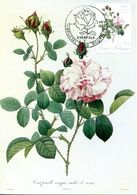 15189011 BE 19890415 Bx; Roses, Redouté; 3 Très Belles CM Cob2318-20 - Sonstige & Ohne Zuordnung