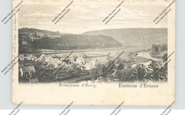B 4130 ESNEUX - HONY, Panorama, Ca. 1900, Ed. De Ruyter, Hergestellt Bei Bernhoeft - Luxemburg - Esneux