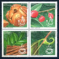 Brazil 2012 Brasil / Herbal Medical Plants Brews MNH Plantas Medicinales Infusiones / Hi32  5-26 - Unclassified