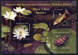 ROMANIA 2008 Petrea Creek Nature Reserve Block MNH / **.  Michel Block 440 - Ongebruikt