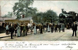 ALLEMAGNE - Carte Postale - Chemnitz - Attelages De Chevaux + Locomotive - L 66032 - Chemnitz (Karl-Marx-Stadt 1953-1990)