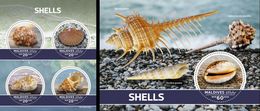 Maldives 2020, Shells, 4val In BF+BF - Coneshells