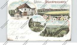 0-6901 FRAUENPRIESSNITZ, Lithographie, Restauration & Geschäftshaus Feucker, Hermannsruhe, Gesamtansicht... - Eisenberg