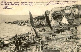 SAINT PIERRE ET MIQUELON - Carte Postale - L'Anse De Savoyard - L 66156 - Saint-Pierre-et-Miquelon