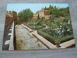 Almeria - Jardins De La Forteresse - 2.052 - Editions Arribas - - Almería