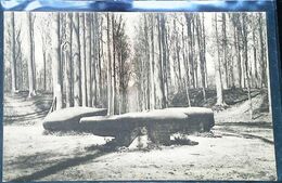 CPA   Dolmen  Tervueren Le Parc - Dolmen & Menhirs