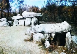 CPSM  Carnac  Dolmen  De Mané Kerioned - Dolmen & Menhirs