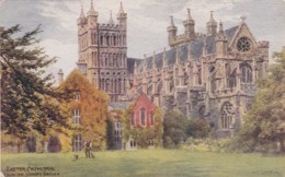 EXETER CATHEDRAL FROM BISHOPS GARDEN.  A.R. QUINTON .NO  18O9 - Exeter