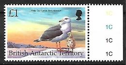 British Antarctic Territory - BAT - 1998 MNH :     Kelp Gull   - Larus Dominicanus - Gabbiani