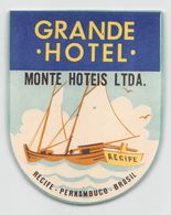 010908 "RECIFE - PERNAMBUCO - BRASIL - GRANDE HOTEL MONTE HOTEIS LTDA"  ETICHETTA ORIGINALE - ORIGINAL LABEL - Etiquettes D'hotels