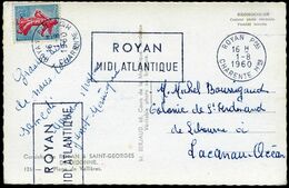 Double Oblitération Mécanique Croisée De ROYAN Sur Carte Postale - Briefe U. Dokumente