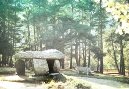 CPSM Dolmen  Saint Nectaire    Banc Public - Dolmen & Menhirs