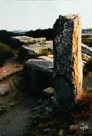 CPSM Dolmen  Locmariaquer Le Dolmen Des Pierres Plates - Dolmen & Menhirs