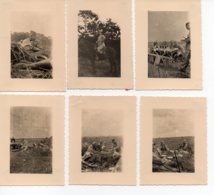 Ensemble 6 Photos Poilus Dans La Campagne Et 1 Gradé à Cheval - Guerre, Militaire