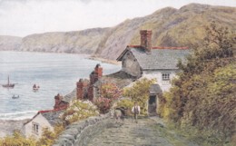 CLOVELLY BAY.   A.R. QUINTON  2365 - Clovelly