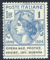 1924 ENTI PARASTATALI "OPERA NAZ. PROTEZ. ASSIST. INVALIDI GUERRA" LIRE 1 N.55 NUOVO* LINGUELLATO - MH FINE - Autres & Non Classés