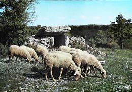 Le Percy Moutons Au Paturage  Dolmen - Dolmen & Menhirs