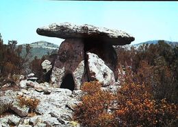 Lodeve  Dolmen De Grammont - Dolmen & Menhirs