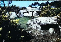 CPSM  Carnac Dolmen De Mané Kerioned - Dolmen & Menhirs